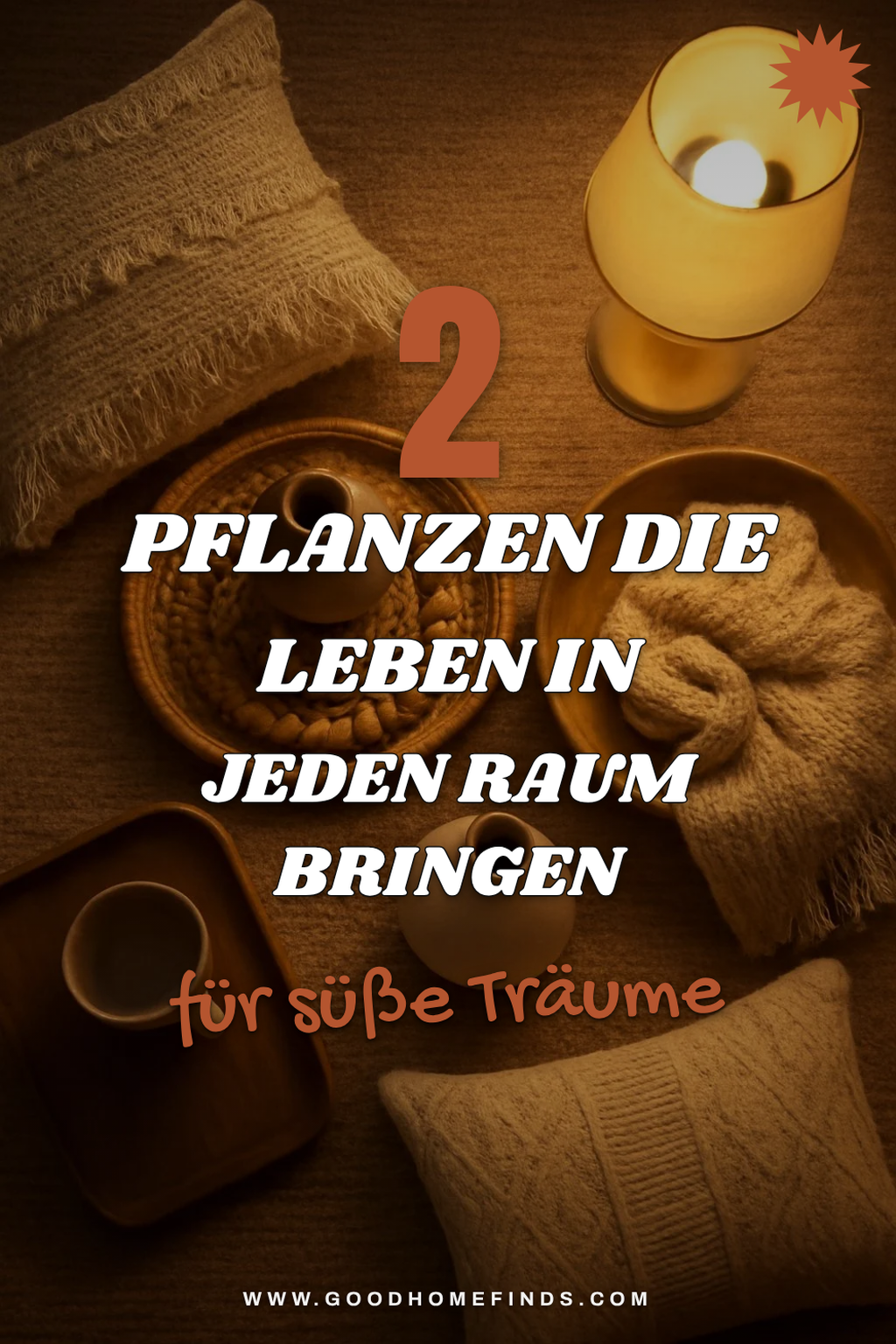 Diese 2 Pflanzen bringen Leben in jeden Raum