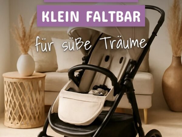 6 reisebuggy klein faltbar