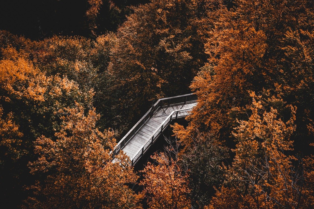 Kreative Herbst-Bastelideen für zu Hause