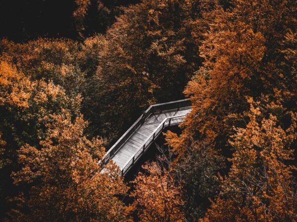 Die besten 10 Herbst-Aktivitäten mit Kleinkind 2026
