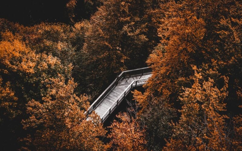 Die besten 10 Herbst-Aktivitäten mit Kleinkind 2026