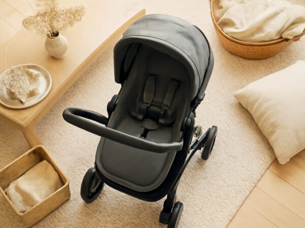 Kombikinderwagen Maxi Cosi: der ehrliche Vergleich