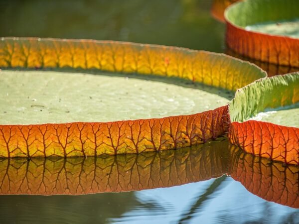Wickeltischauflage: Die besten Modelle für sicheres Wickeln
