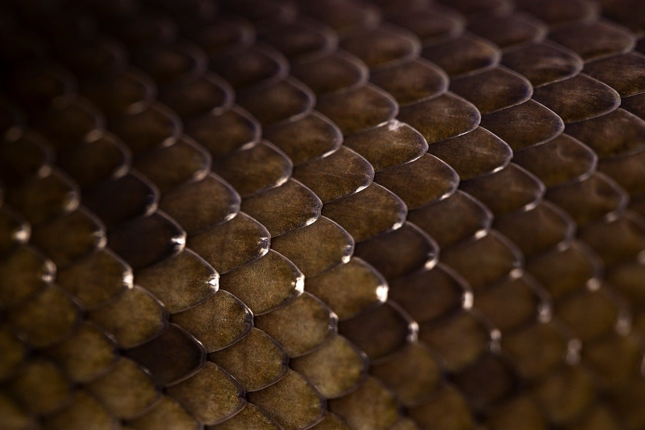 Die Rolle der Ernährung beim Schlaf
